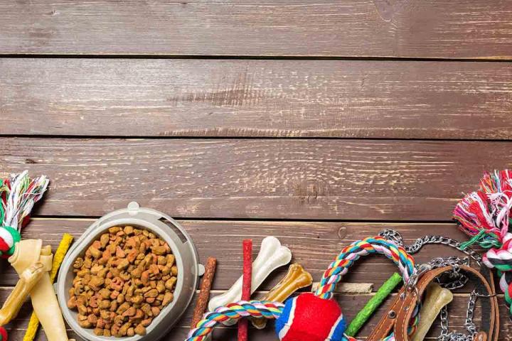 Pet Daycare, Florida City